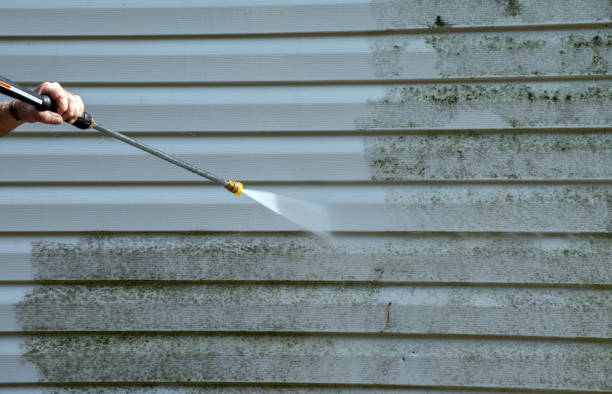 Certified Mold Removal in Piedmont, MO
