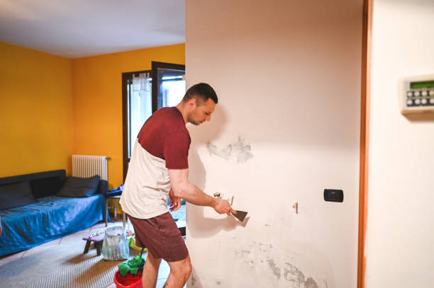 Professional Mold Removal in Piedmont, MO